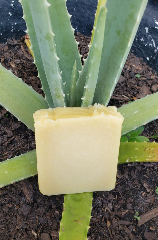 ALOE VERA Handmade Natural Soap (Scented) Cold Process.